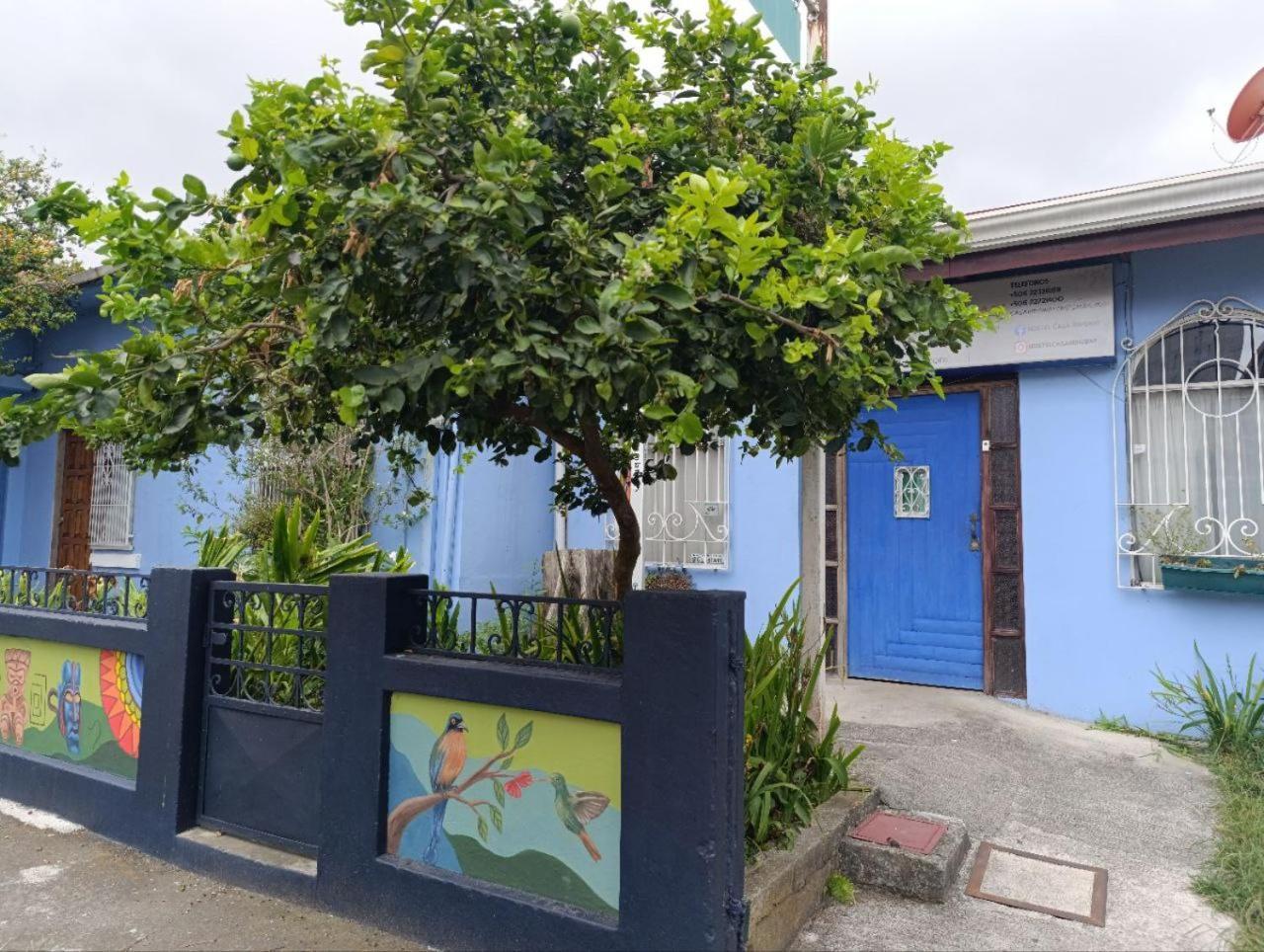 Hostel Casa Ridgway San José Kültér fotó